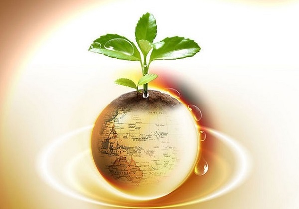 美联储降息推高金银价格创新高 美股市低开待观察